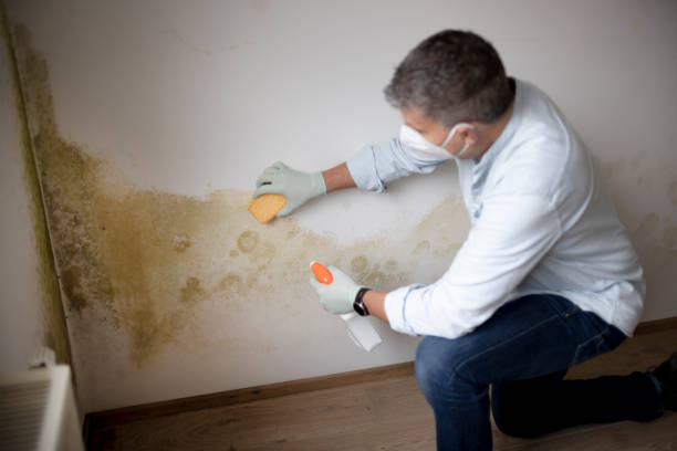 Best Mold Odor Removal Services  in Lithonia, GA