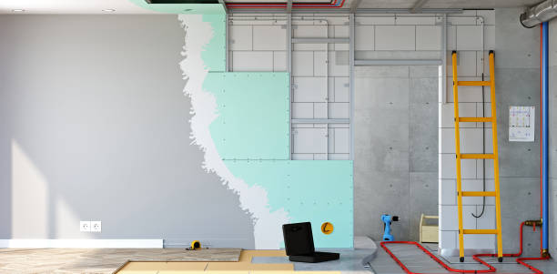Best Mold Remediation for Healthcare Facilities  in Lithonia, GA