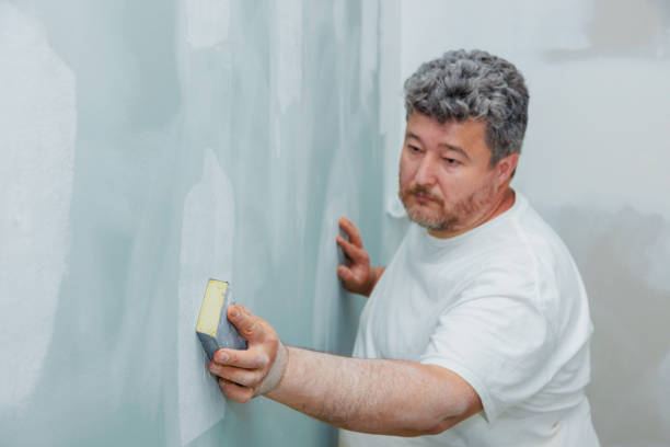 Best Black Mold Removal  in Lithonia, GA